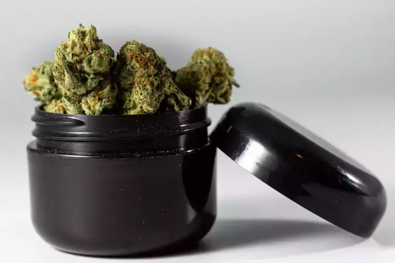 Finding Your Sanctuary: How to Locate a Dispensary Near Me Open Now