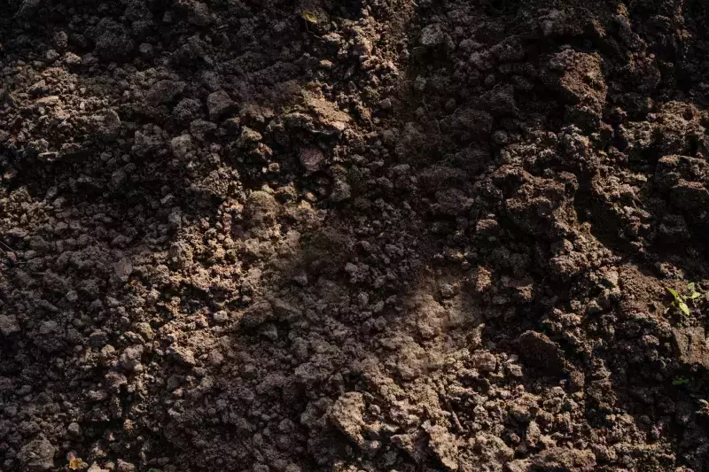 The Unsung Hero Beneath Our Feet: Unpacking the Marvel of Topsoil